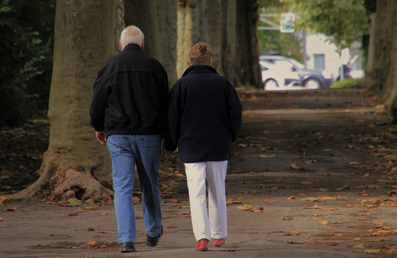 따뜻한 햇살을 받으며 생활 리듬을 관리며 노부부가 산책하는 사진