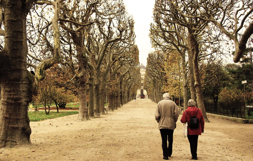 햇살 좋은 오후에 부부가 나란히 공원을 산책하는 평화로운 사진
