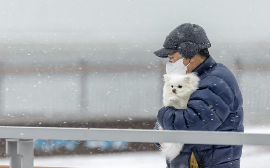 노인분이 찬바람을 맞으며 애완견을 안고가는 이미지